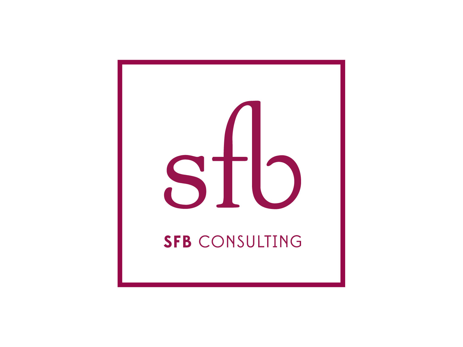 SFB-Consulting-FI